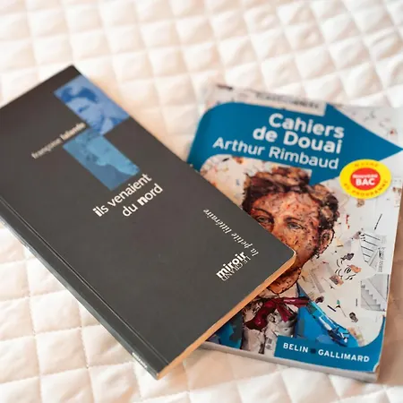 Cocon Arty - Nuit Etoilee A Douai, Inspire De Rimbaud & Gogh *